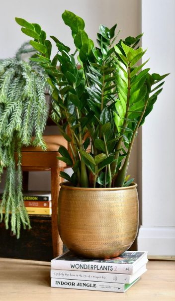 628f3cabfaac4572275eaf1ed22c717c